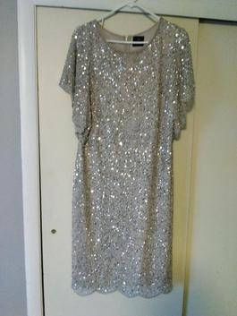 Adrianna Papell Silver Size 16 Euphoria Boat Neck Cocktail Dress on Queenly