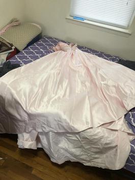 Pink Size 6 Train Dress on Queenly