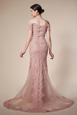 Style A0587 Andrea and Leo Pink Size 4 A0587 Lace Mermaid Dress on Queenly