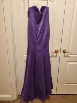 Cinderella Purple Size 10 Mermaid Dress on Queenly
