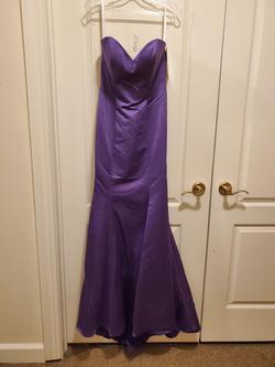Cinderella Purple Size 10 Mermaid Dress on Queenly