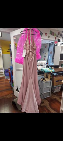 Style 6436 Rachel Allen Pink Size 14 Mermaid Dress on Queenly