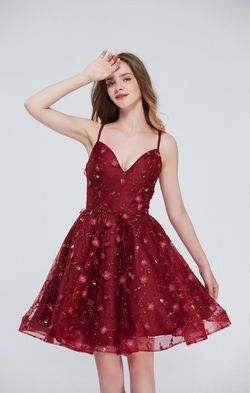 Style Colleen Jadore Red Size 16 Burgundy Mini Homecoming Summer Cocktail Dress on Queenly