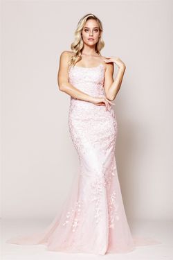 Style 799 Amelia Couture Pink Size 2 Corset Straight Dress on Queenly