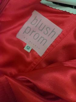Blush Prom By Alexia  Pink Size 12 Plus Size Side slit Dress on Queenly
