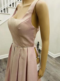 Pink Size 12 Train Dress on Queenly