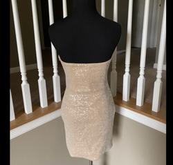 La Femme Pink Size 2 Nude Strapless Straight Dress on Queenly