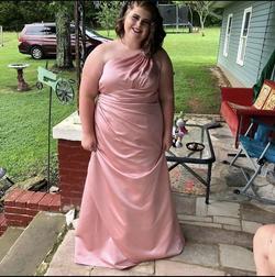 David's Bridal Nude Size 22 Sorority Formal Prom Straight Dress on Queenly