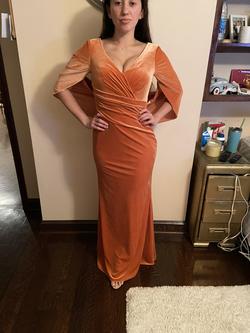 JJs house Orange Size 2 Velvet Mermaid Dress on Queenly