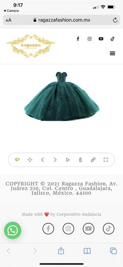 Ragazza Green Size 12 Quinceanera Floor Length Ball gown on Queenly