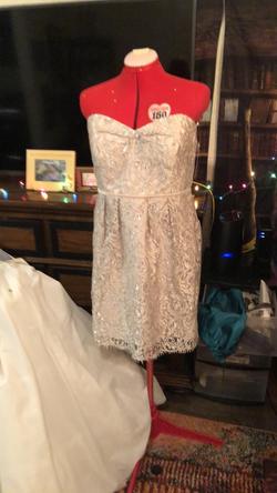 Jenny Yoo Gold Size 14 Party Midi $300 Lace Cocktail Dress on Queenly