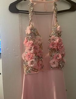 Pink Size 16 A-line Dress on Queenly