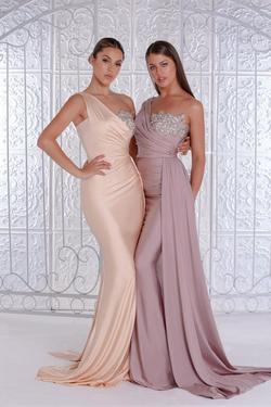 Style PS21219 Portia and Scarlett Pink Size 16 Prom Mermaid Dress on Queenly