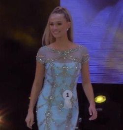 Sherri Hill Blue Size 6 Sheer Embroidery Mermaid Dress on Queenly