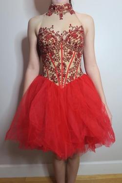 Sherri Hill Bright Red Size 0 Appearance Fun Fashion Sheer Cocktail Dress on Queenly