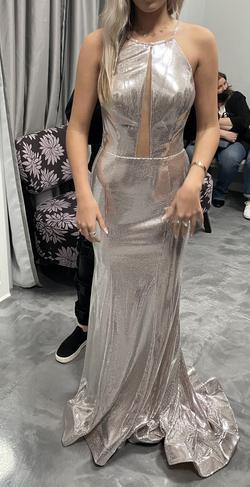 Ellie Wilde Silver Size 6 Floor Length Mermaid Dress on Queenly