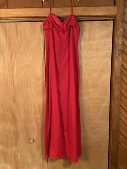 Chadwicks Pink Size 14 Floor Length Barbiecore Straight Dress on Queenly