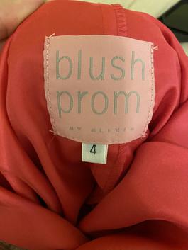 Blush Prom Pink Size 2 Prom Straight Dress on Queenly