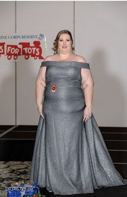 Silver Size 16 Straight Dress on Queenly