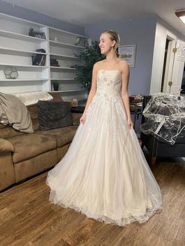 David's Bridal Nude Size 2 Ivory Tulle Ball gown on Queenly