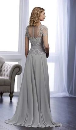 Style 17849 Christina Wu Silver Size 24 Tulle Boat Neck Lace Sleeves A-line Dress on Queenly
