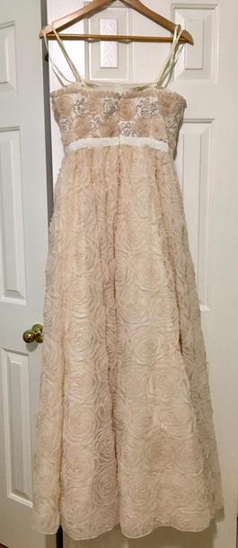 Adrianna Papell Nude Size 6 50 Off Military A-line Dress on Queenly