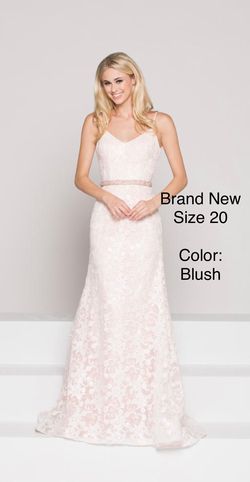 Colors Pink Size 20 Military Lace Floor Length Plus Size Straight Dress on Queenly