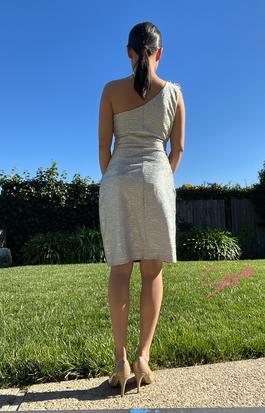 Max and Cleo Silver Size 4 $300 One Shoulder Cocktail Dress on Queenly
