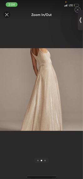 David's Bridal Nude Size 4 $300 Straight Dress on Queenly
