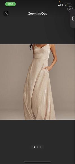 David's Bridal Nude Size 4 $300 Straight Dress on Queenly