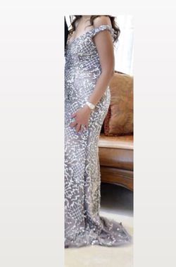 Silver Size 14 Straight Dress on Queenly