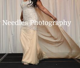 Nude Size 10 Mermaid Dress on Queenly