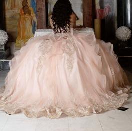 Princesa- Ariana Vara Light Pink Size 10 Shiny Quinceanera Sweetheart Embroidery Ball gown on Queenly