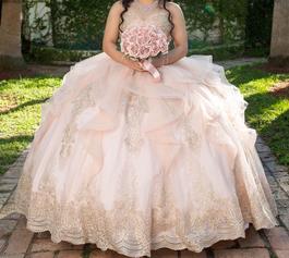 Princesa- Ariana Vara Pink Size 10 Ruffles Sequin Shiny Embroidery Ball gown on Queenly