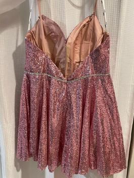 Elizabeth K Pink Size 16 $300 Sheer Cocktail Dress on Queenly