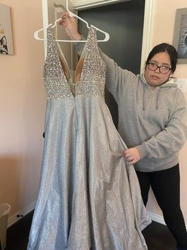 Silver Size 14 Ball gown on Queenly