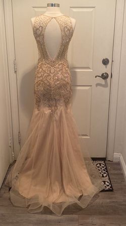ASPEED Nude Size 0 $300 50 Off Mermaid Dress on Queenly