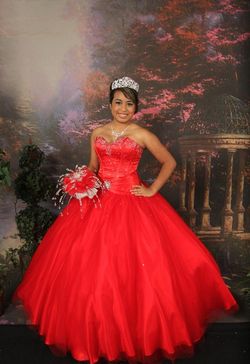 Style 2107 Envious Couture Red Size 16 Plus Size Floor Length Tall Height Ball gown on Queenly
