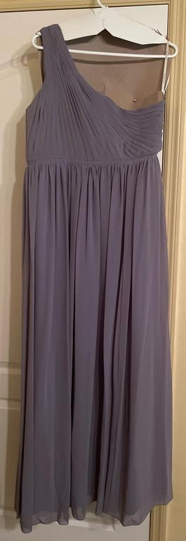 Bari Jay Silver Size 14 Floor Length Straight Dress on Queenly