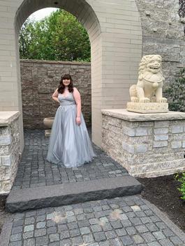 Silver Size 18 Ball gown on Queenly