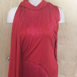 Givenchy Red Size 8 High Neck Feather Midi Cocktail Dress on Queenly