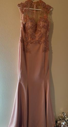 Pink Size 12 Mermaid Dress on Queenly