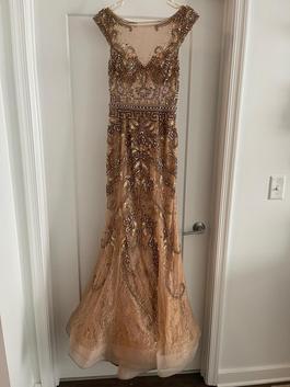 Terani Couture Nude Size 6 Floor Length Sheer Train Mermaid Dress on Queenly