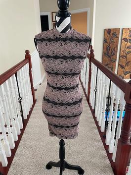 Eureka Pink Size 2 Midi Shiny $300 Lace Cocktail Dress on Queenly