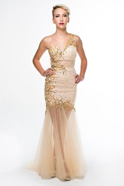 Style 16346 Brit Cameron Gold Size 0 Military Floor Length Jewelled Sheer Tall Height Mermaid Dress on Queenly