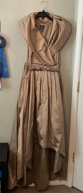 Gold Size 16 Train Dress on Queenly