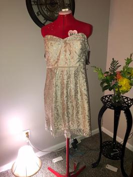 Jenny Yoo Gold Size 14 Midi $300 Lace Cocktail Dress on Queenly