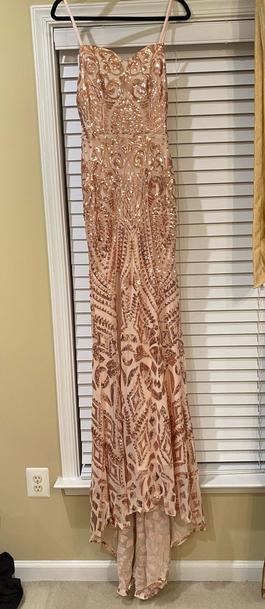 Alamour the Label Rose Gold Size 2 Jewelled Train Dress on Queenly