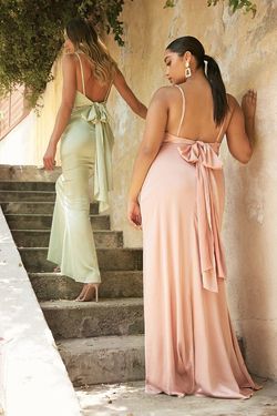 Style 7487 Cinderella Divine Dusty Rose Size 6 Backless Straight Dress on Queenly