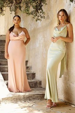 Style 7487 Cinderella Divine Dusty Rose Size 6 Backless Straight Dress on Queenly